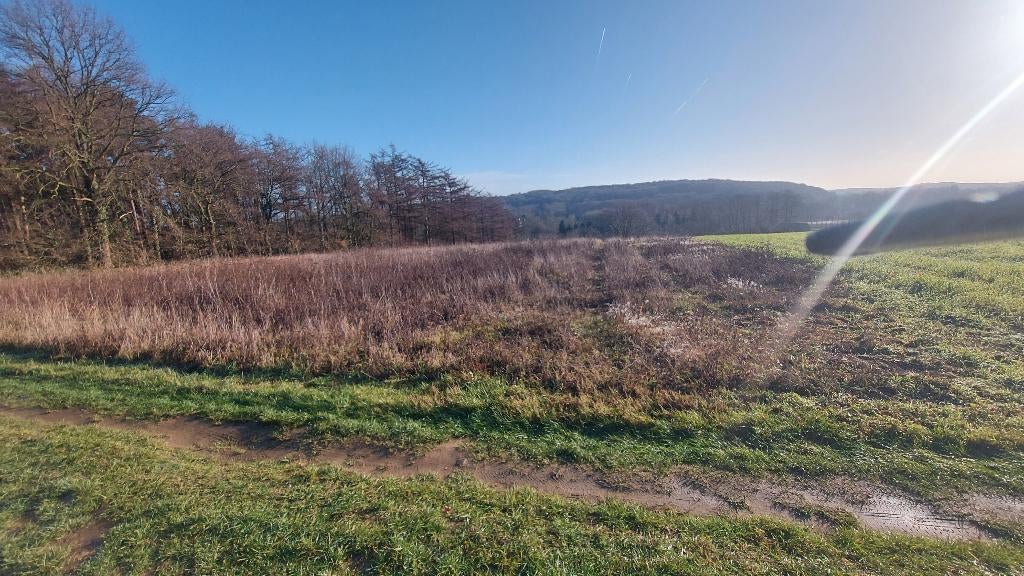 Terres agricoles, Immo, Sint Pieters Rode, 1500 m² ou plus