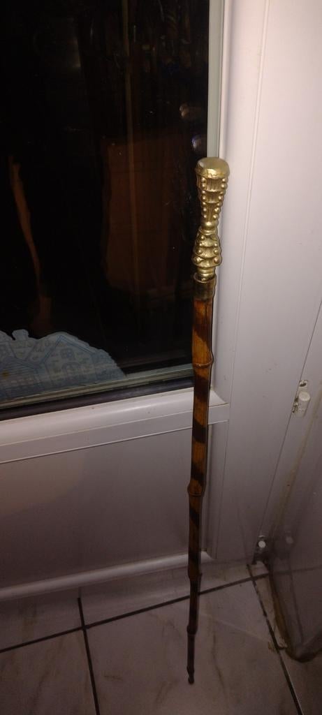 Canne spéciale  avec lame, Enlèvement ou Envoi