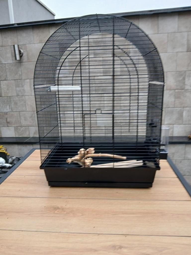 Cage à oiseaux brune, Enlèvement, Cage à oiseaux