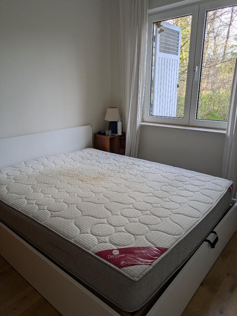 Matelas Queen Size (Dorsoline Nassau), Maison & Meubles, Chambre à coucher | Matelas & Sommiers, Utilisé, Matelas, 160 cm, 200 cm