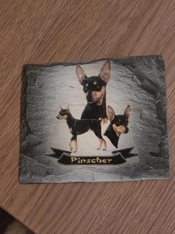 Stenen tegeltje/plaquette : Pinscher, Envoi