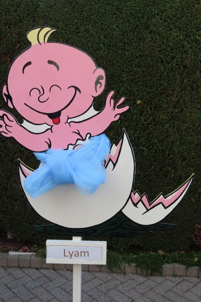 Mooi geboortebord of ooievaar huren? geen waarborg., Ophalen, Nieuw, Geboortebord