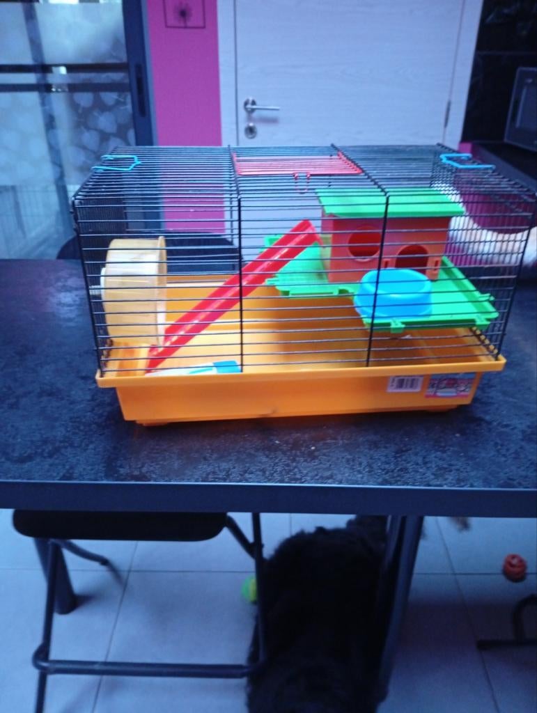 Cage petit rongeur, Enlèvement ou Envoi, Comme neuf, Cage