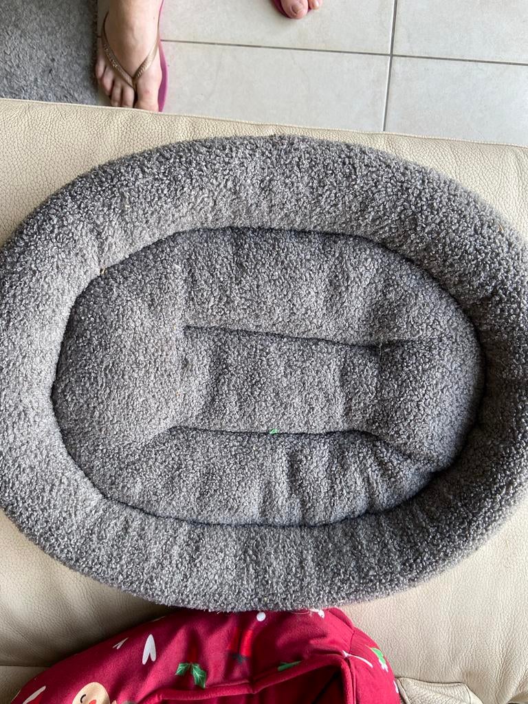 Klein honden kussentje, Dieren en Toebehoren, Ophalen of Verzenden, Zo goed als nieuw