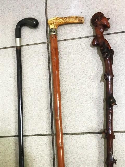 Bâtons marche a partir de 49€ 19e siècle antique😍😎💑🤗👌, Enlèvement ou Envoi, Ajustable, Utilisé