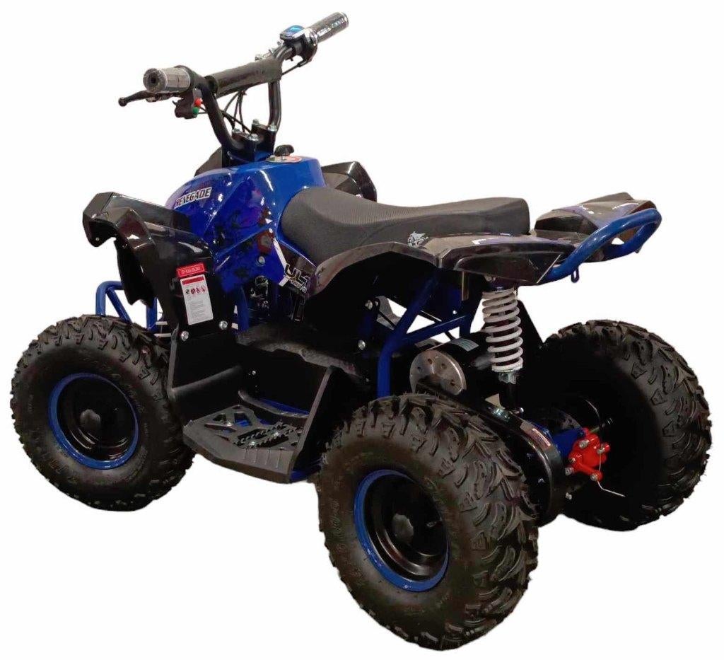 QUAD ÉLECTRIQUE ENFANT D1000 • Clé de bridage parental, Enfants & Bébés, Enlèvement, Neuf