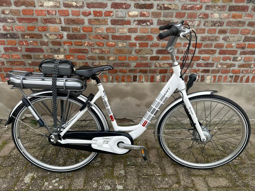 Electrische giant twist fiets, Vitesses, Enlèvement, 50 à 53 cm, Giant