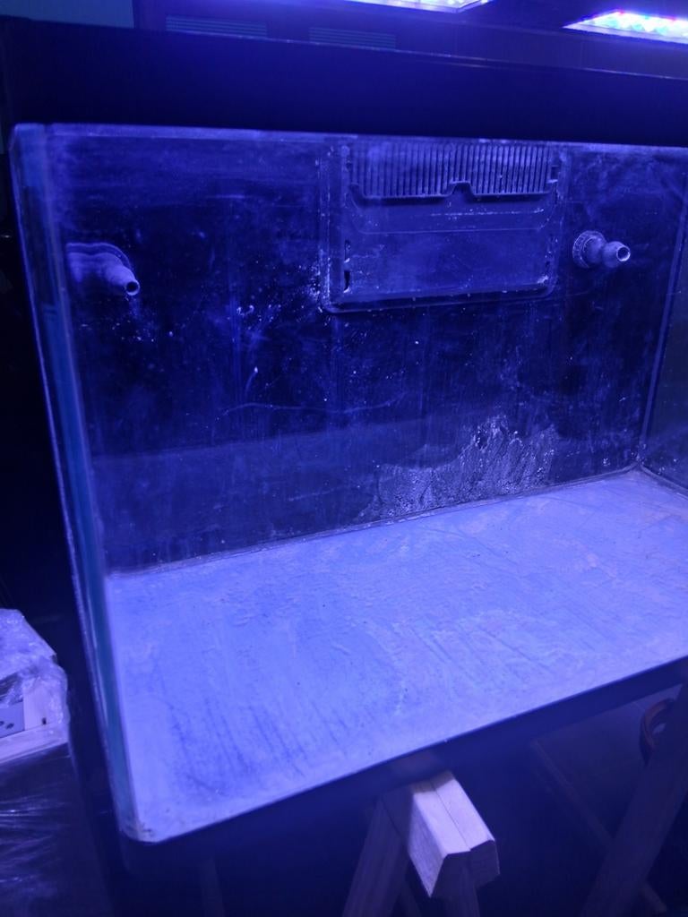 Zeeaquarium, Enlèvement