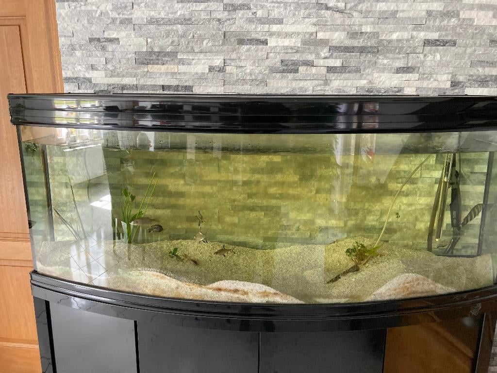 Aquarium de 450L., Enlèvement, Couvercle inclus, Aquatlantis