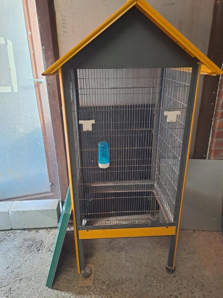 J'achète vos surplus de canaris, Animaux & Accessoires, Enlèvement