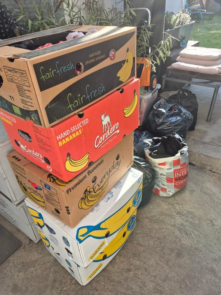 Lot de vêtements, Enlèvement