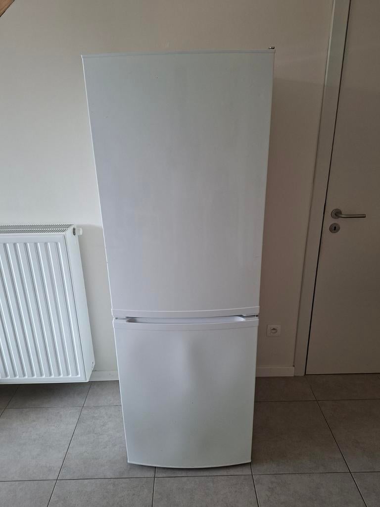 Ijskast met vriesvak, Elektronische apparatuur, Koelkasten en IJskasten, Ophalen, Gebruikt, Met vriesvak, 160 cm of meer