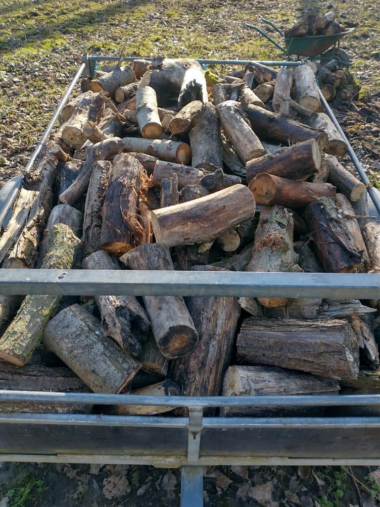 Te koop brandhout kana wilg afhalen 55€ de kub, Tuin en Terras, Brandhout, Ophalen