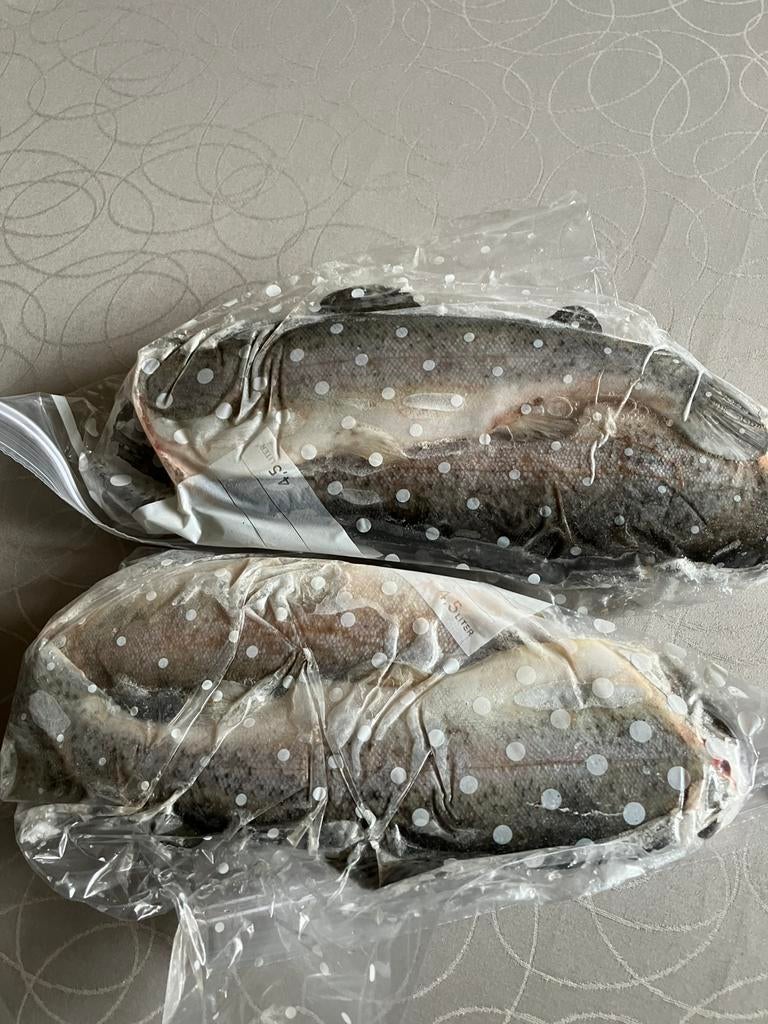 Verse forellen, Ophalen, Nieuw