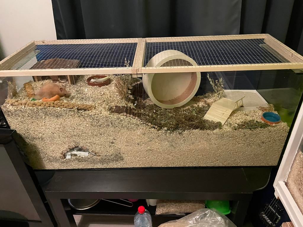 Hamster terrarium + materiaal, Dieren en Toebehoren, 110 cm of meer, Zo goed als nieuw, Muis, Hok