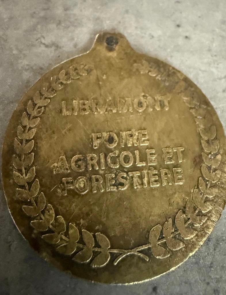 Medaille, Postzegels en Munten, Penningen en Medailles, Goud, Ophalen