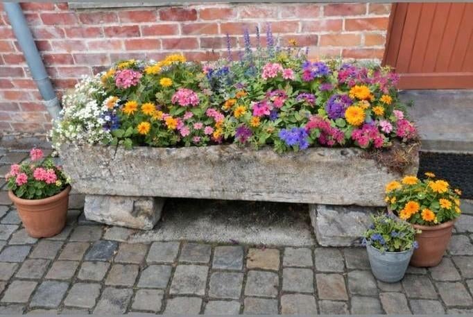 Mangeoire pour chevaux, en pierre bleue, comme jardinière, Enlèvement