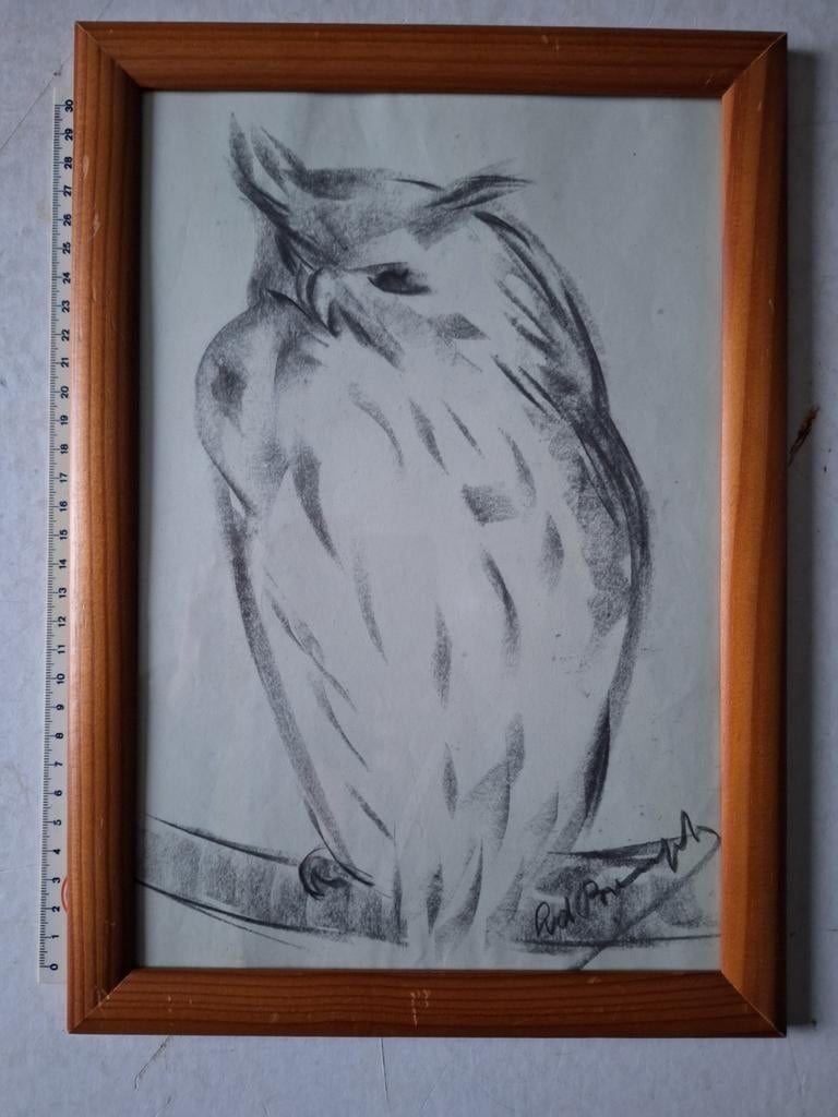 Vlotte tekening van een oehoe onleesbaar gesigneerd, Ophalen of Verzenden