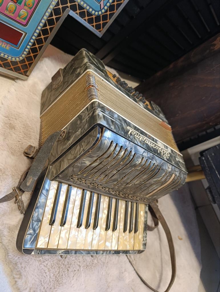 Charmant ancien accordéon vintage Schloss Meinel, Enlèvement ou Envoi, Comme neuf