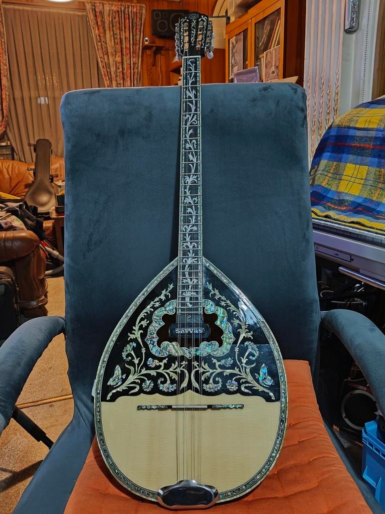 Bouzouki, Ophalen, Zo goed als nieuw, Met koffer