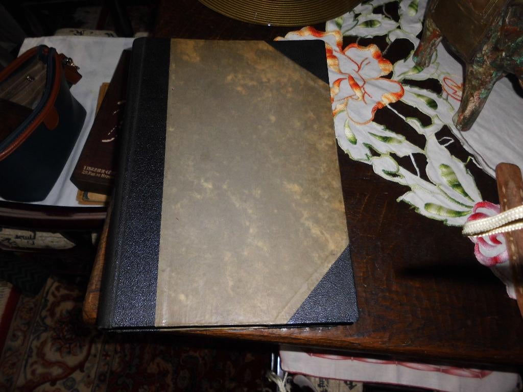 Verzamelde boek van kranten, Boeken, Geschiedenis | Nationaal, Ophalen, Gelezen