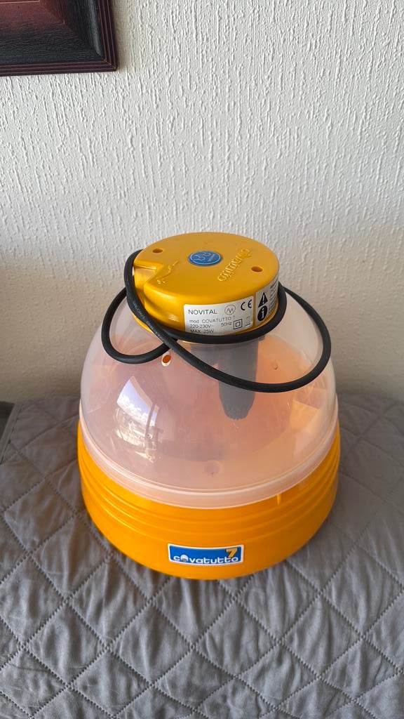 Couveuse Covatutto 7, Poule ou poulet