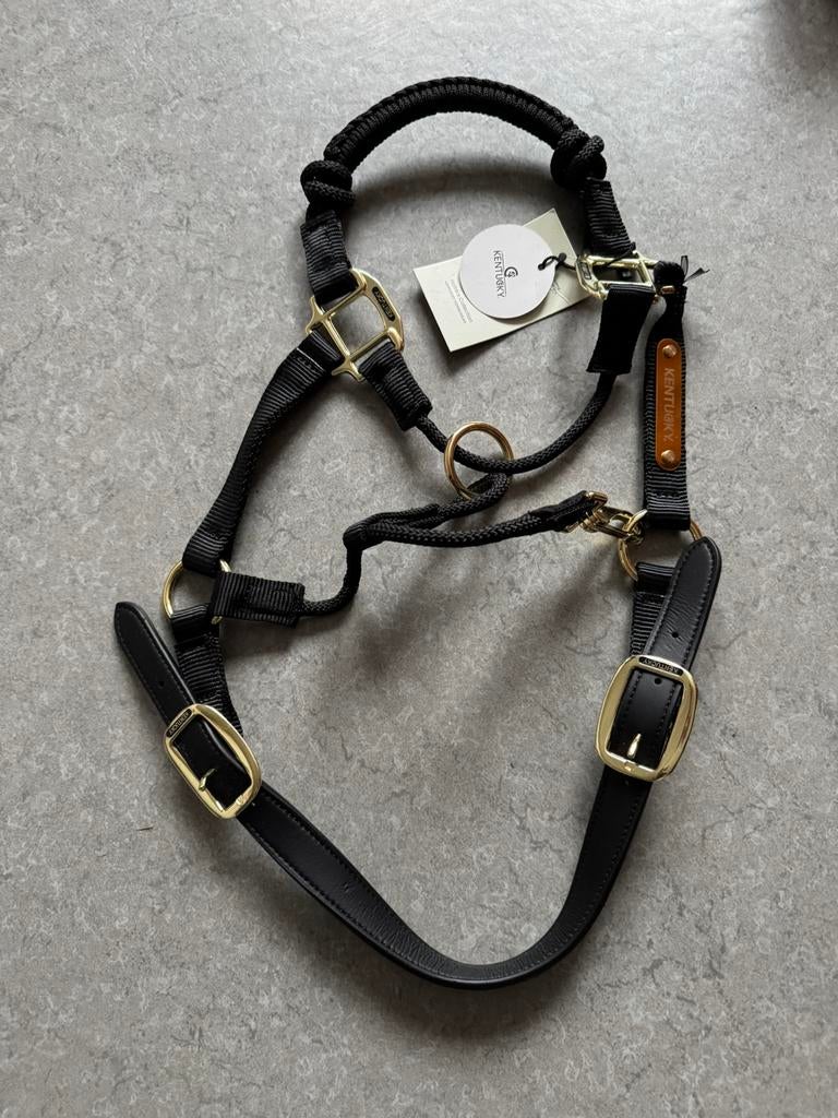 Nieuw KENTUCKY halsband, Dieren en Toebehoren, Ophalen of Verzenden, Zo goed als nieuw