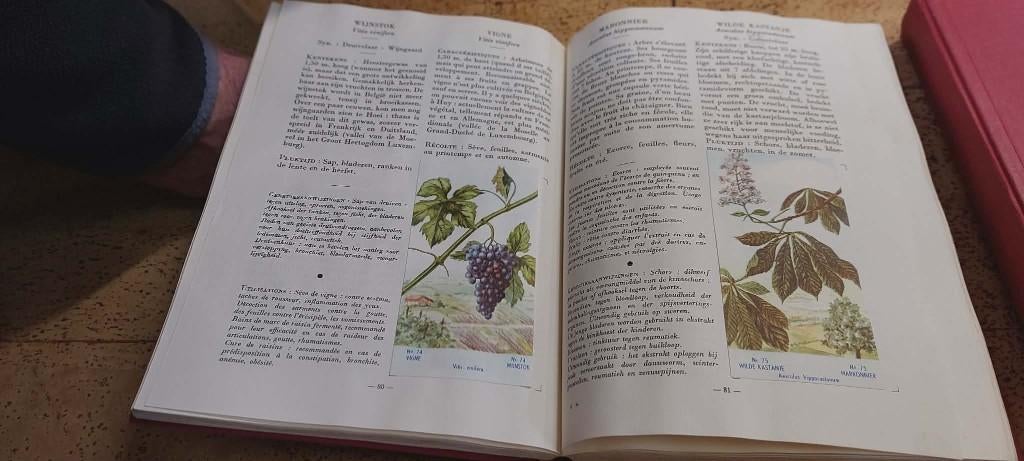 Boeken, Ophalen, Zo goed als nieuw, Diverse