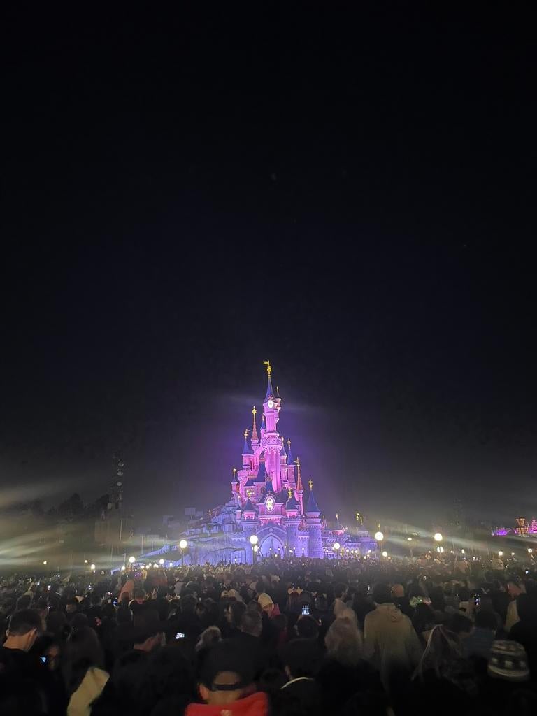 Disneyland Tickets: 2 tickets voor 1 park naar keuze👑, Tickets en Kaartjes, Twee personen, Ticket of Toegangskaart