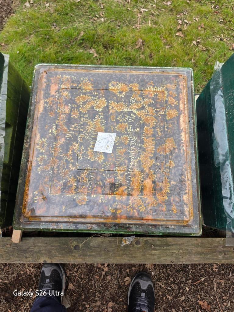 Carnica  bijenvolken op simplex & duitsNormaal., Dieren en Toebehoren, Overige Dieren-accessoires, Ophalen