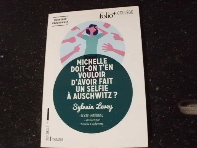 Michelle doit-on t'en vouloir d'avoir fait un selfie à Ausch, Enlèvement ou Envoi, Français, Comme neuf, Secondaire