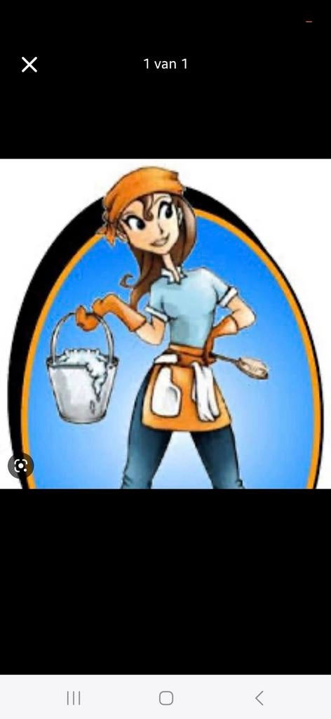 Ik zoek werk als poetsvrouw.  12 ,€per uur, Offres d'emploi, Emplois | Nettoyage & Services techniques