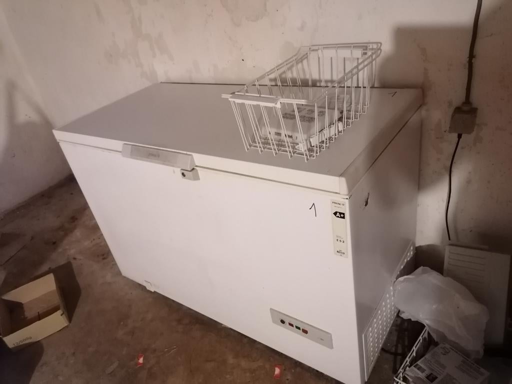 Friac diepvrieskist  BDV 2807 A+ ruim model, Ophalen