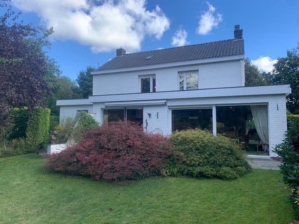 UNIEK: Set van 2 Prachtige Japanse Esdoorns (55 jaar oud!), Tuin en Terras, Planten | Struiken en Hagen, Esdoorn, Ophalen