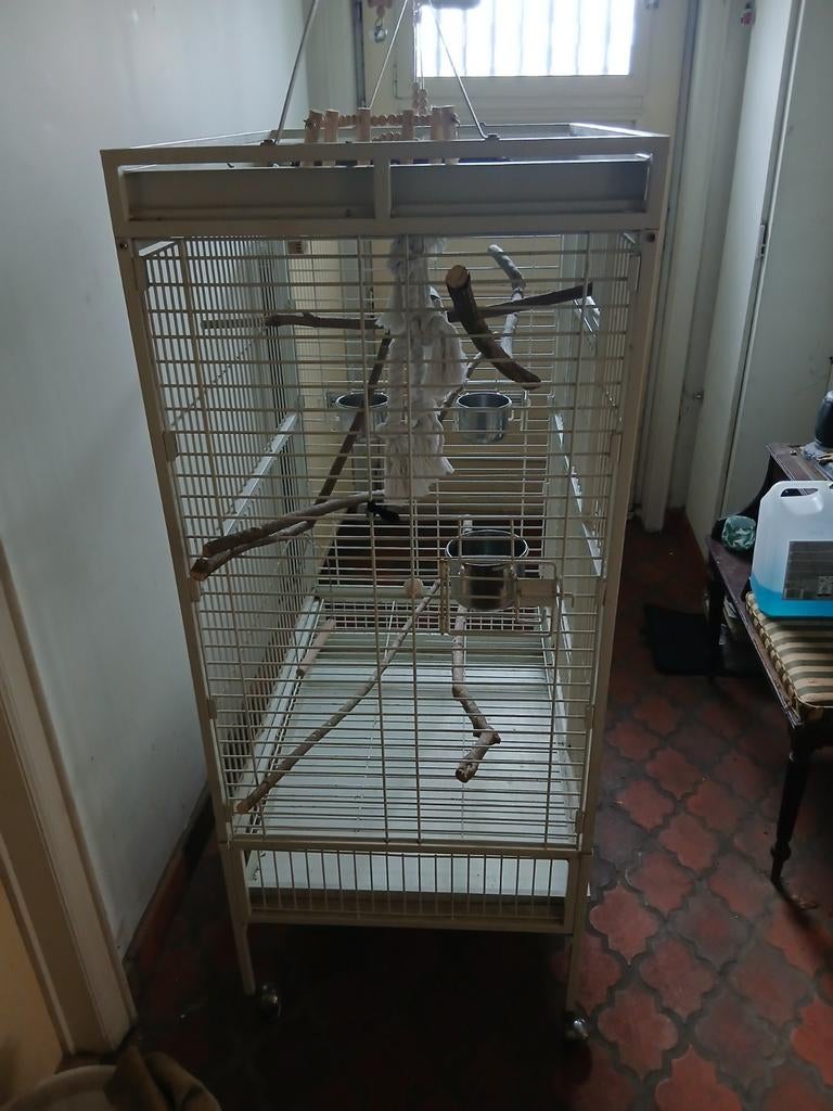 Papegaaien kooi, Ophalen