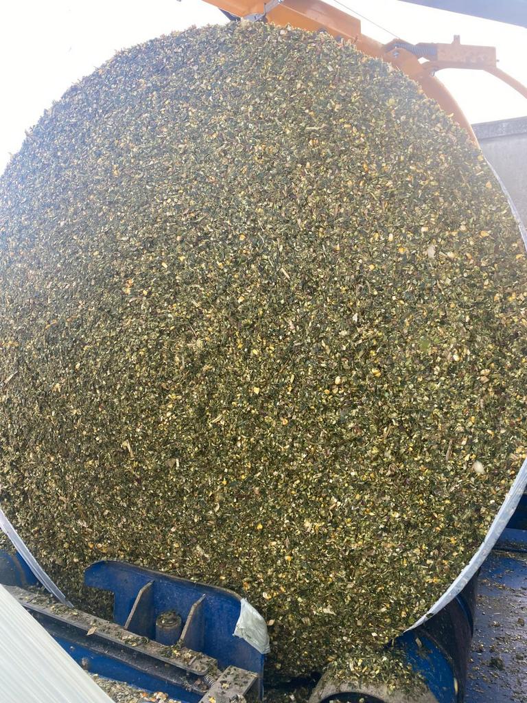 Mais in bollen of uit kuil, Zakelijke goederen, Landbouw | Veevoer, Ophalen of Verzenden