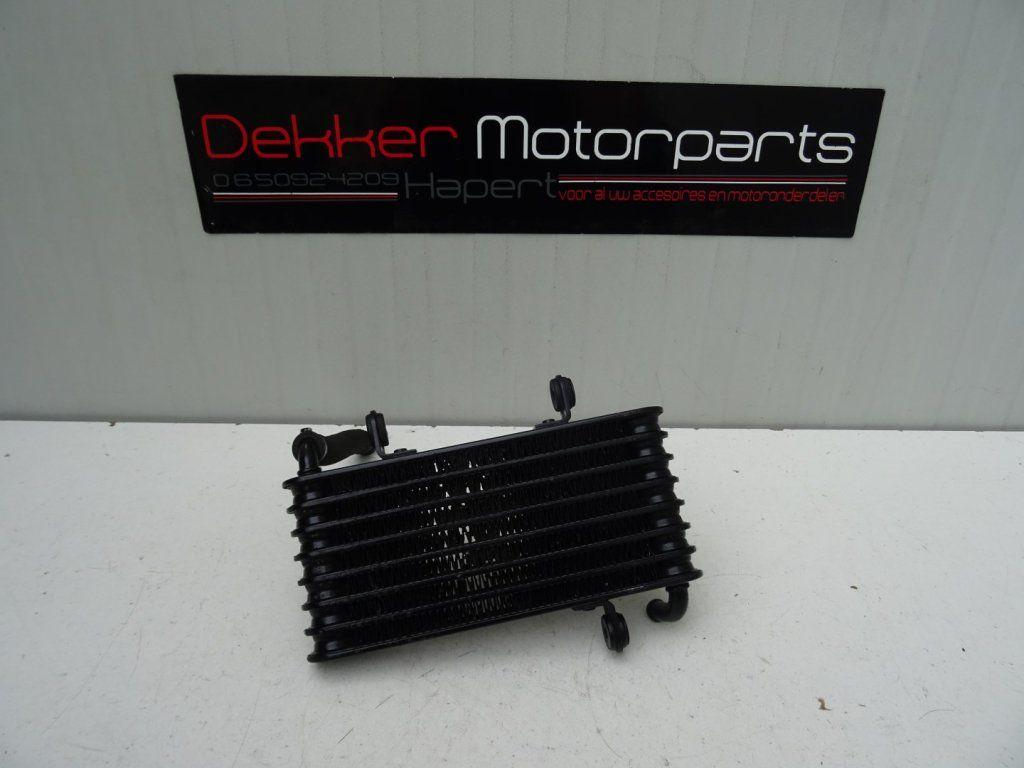 Oliekoeler / Oelkuehler Aprilia RST1000 Futura 2001-2004, Gebruikt, -, -, Ophalen of Verzenden