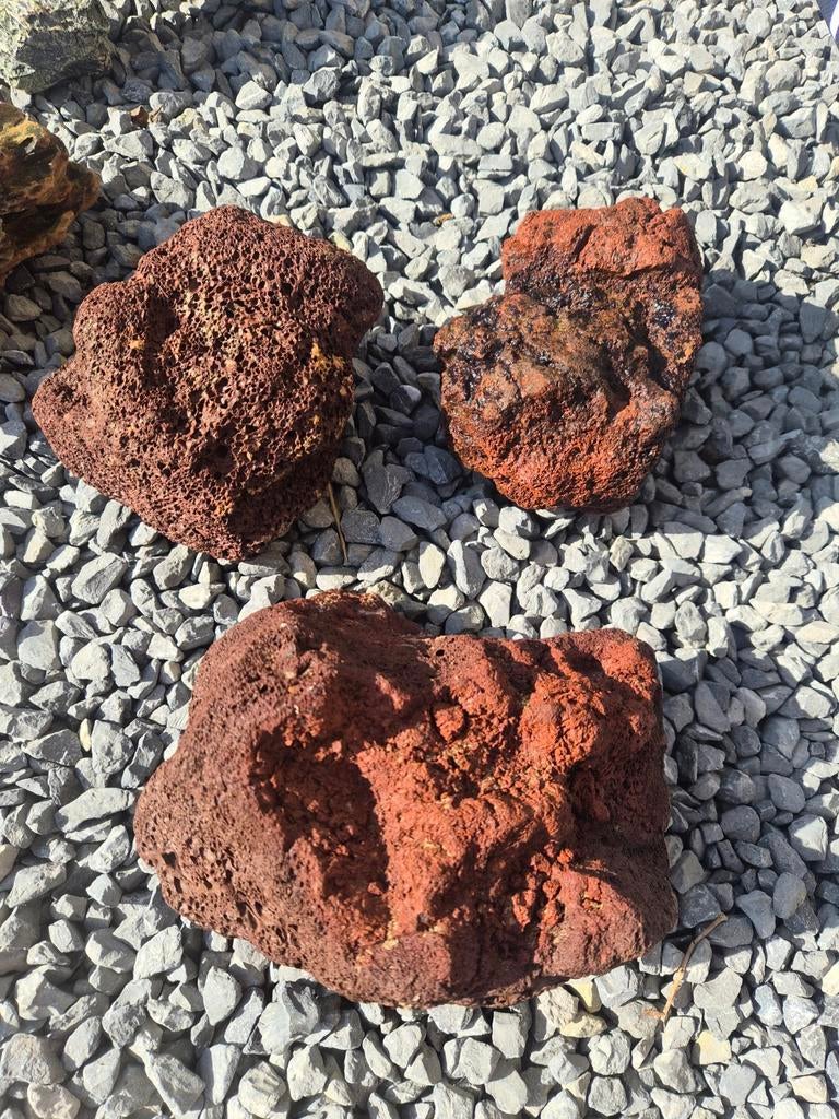 Aquarium, Ophalen, Lava