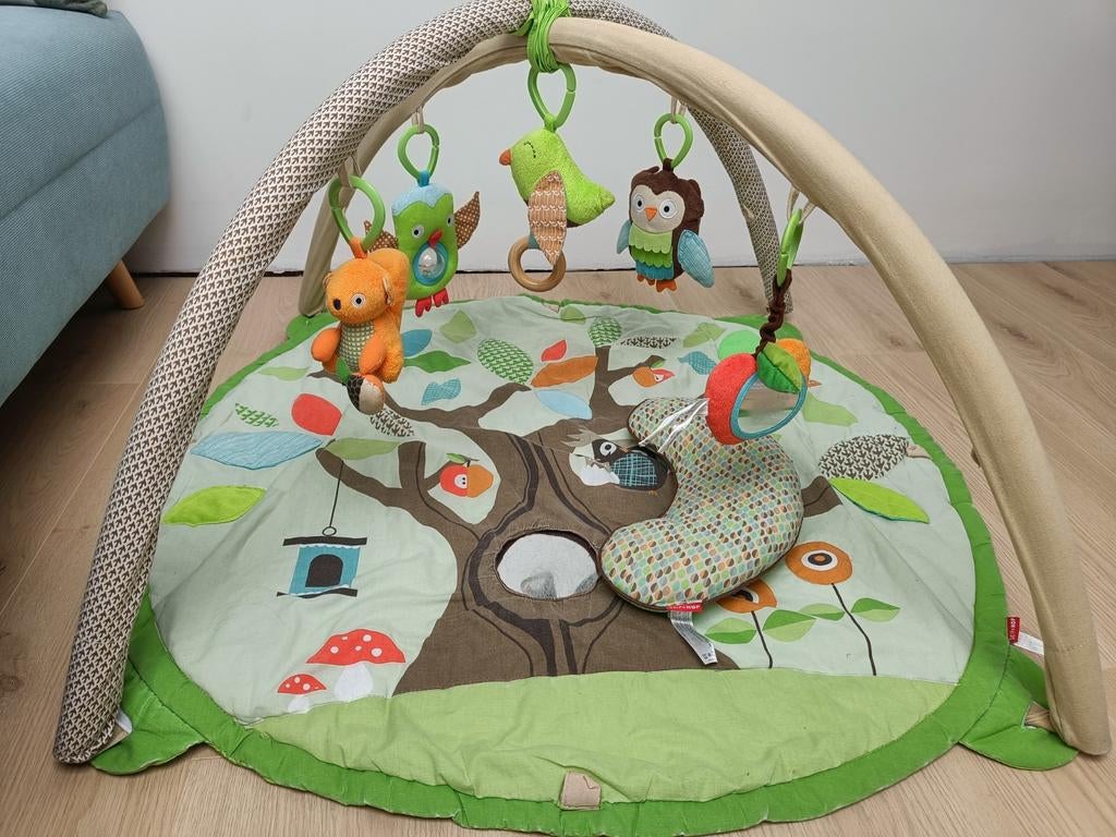 Kleurrijke speelmat met bogen van Skip Hop, Kinderen en Baby's, Speelgoed | Speelkleden, Gebruikt, Ophalen