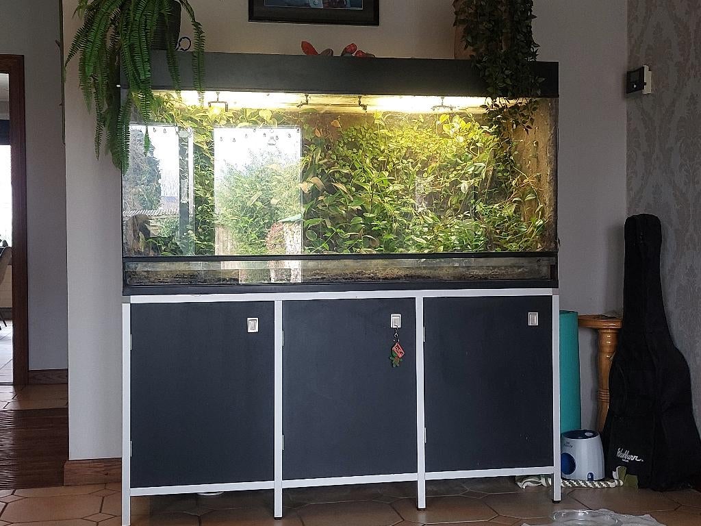 Terrarium, Enlèvement, Utilisé, Terrarium ou Paludarium