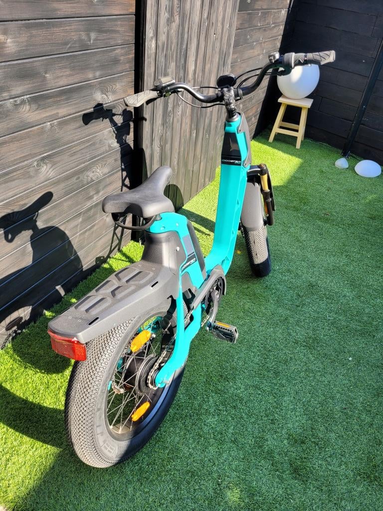 Elektrische fiets, Fietsen en Brommers, Ophalen