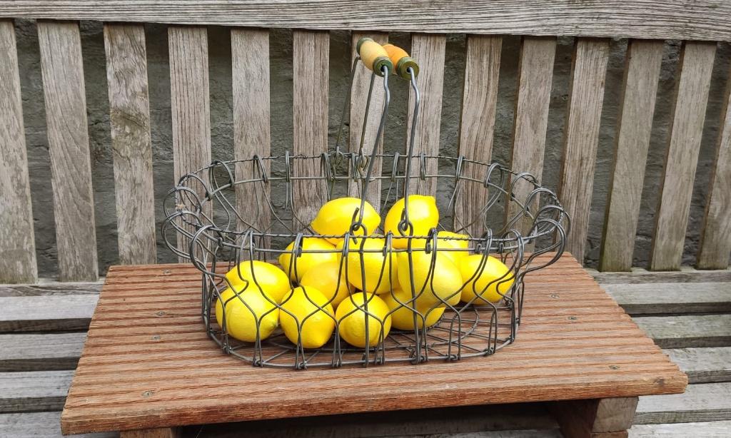 corbeille de fruits, Enlèvement ou Envoi, Autres matériaux, Ovale, Panier