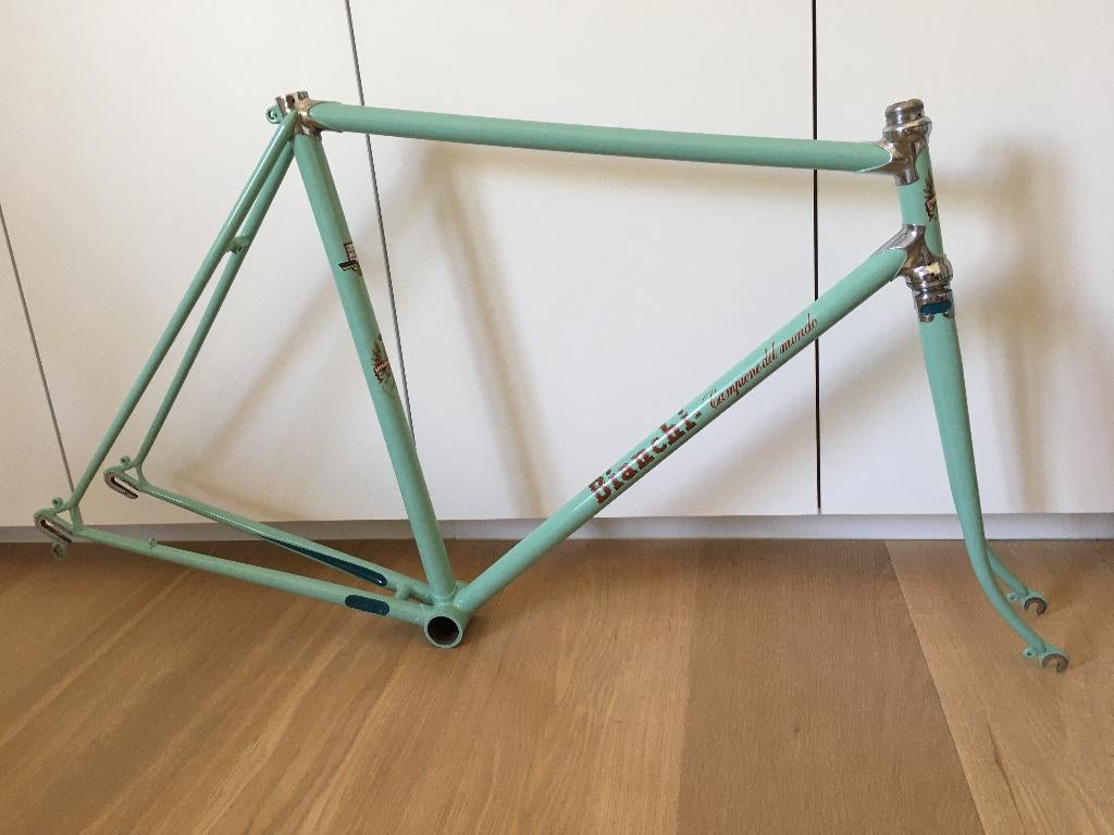 cadre vélo de course rétro -Bianchi Campione del mondo 1953, Vélos & Vélomoteurs, Vélos | Vélos de course, Autres marques, 10 à 15 vitesses