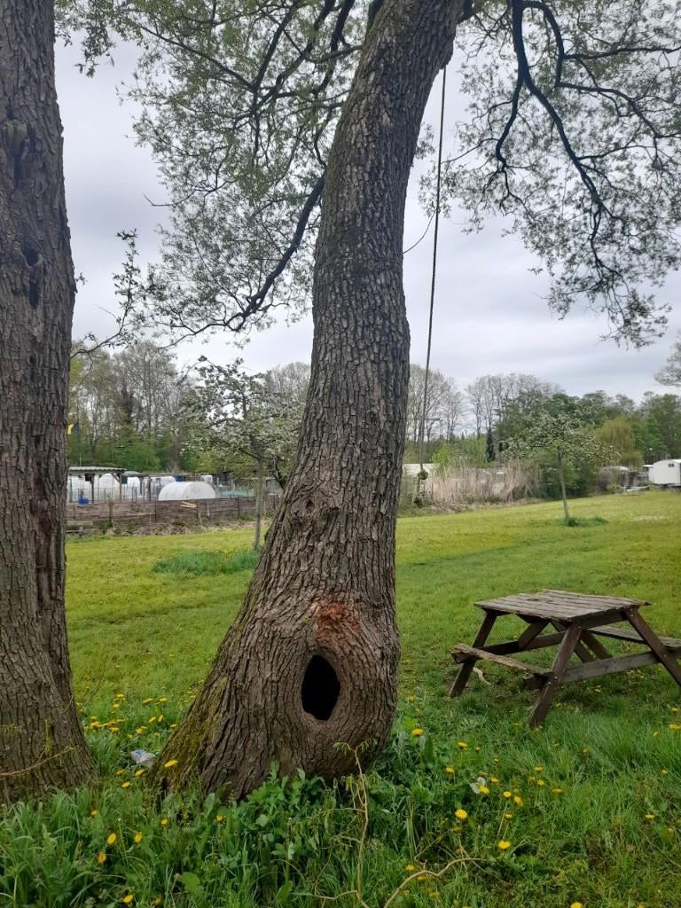 huis,  gelijkvloers appartement... verhuur!!!, Immo, Direct bij eigenaar, 3 kamers, Provincie Limburg