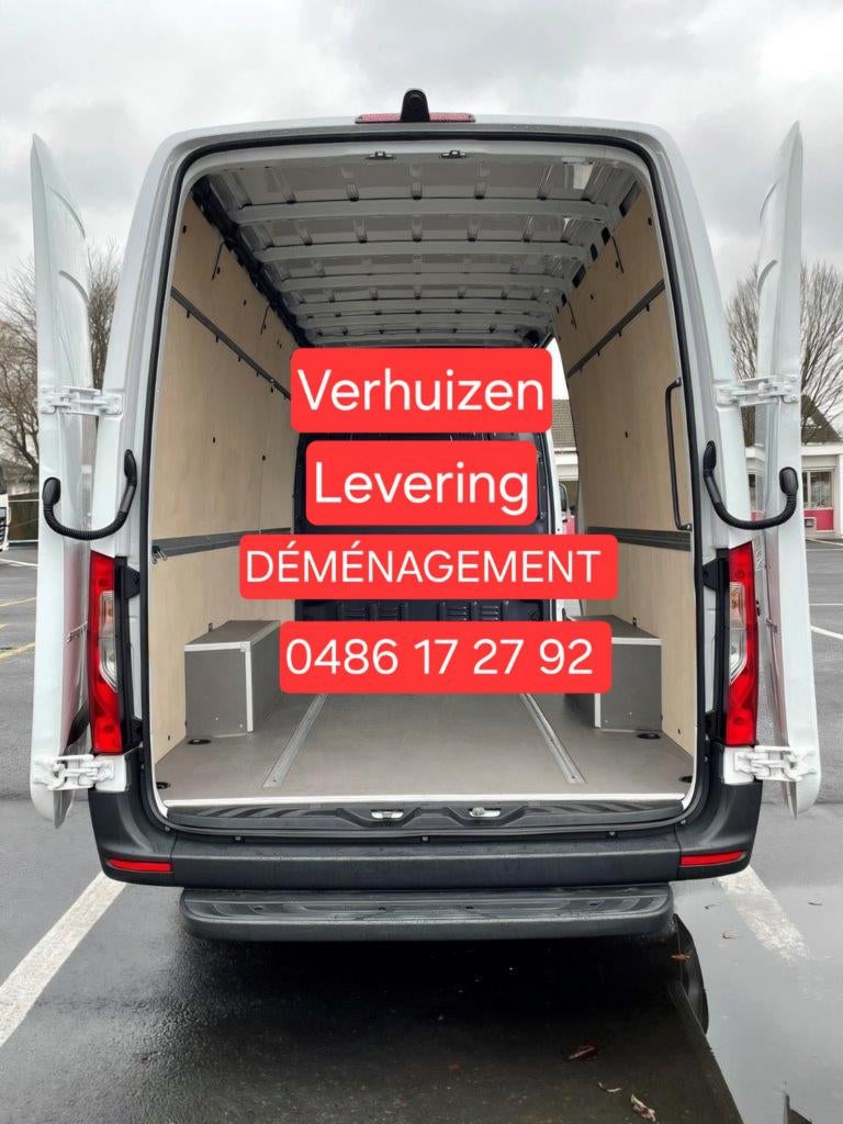 Camionnette Transport Déménagements Livraison, Services & Professionnels, Déménageurs & Stockage