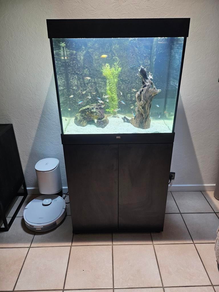 Juwel Lido 200, Ophalen, Gevuld zoetwateraquarium