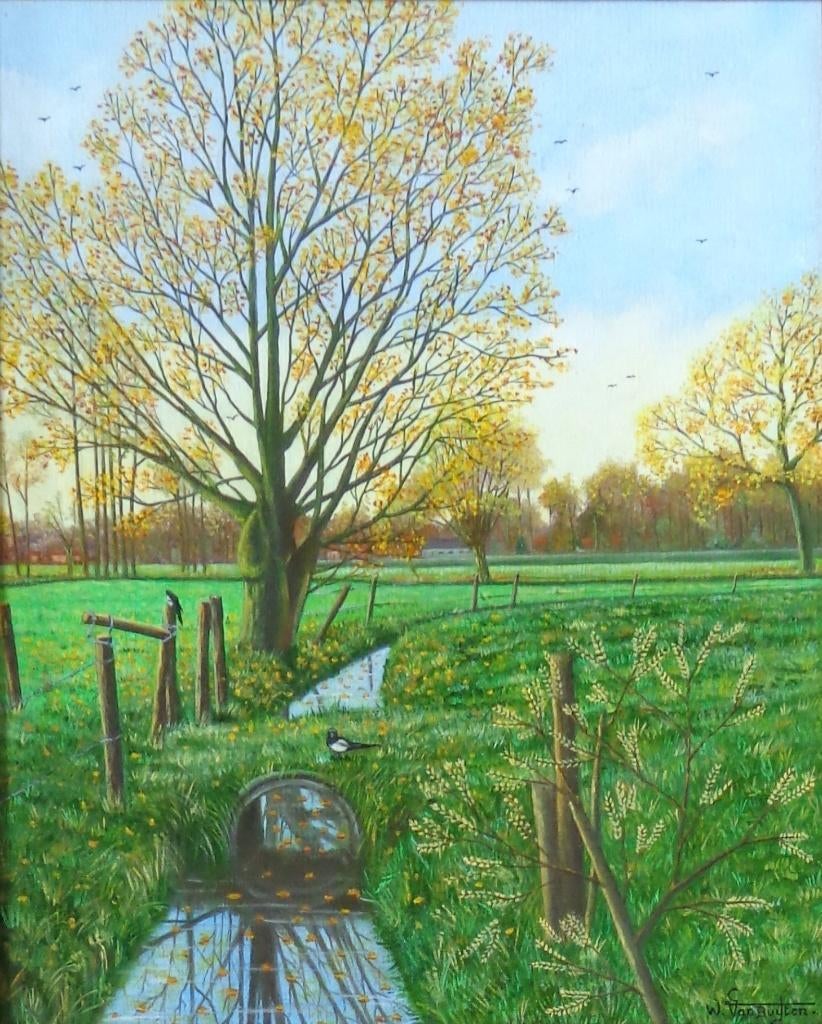 W. VAN BUYTEN / KOUTER HAMME / OLIEVERF DOEK / 75x65cm KADER, Antiquités & Art, Enlèvement