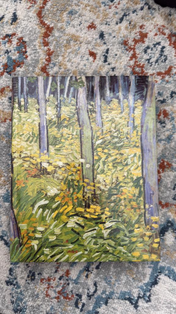 Manuel de biologie des plantes, Enlèvement ou Envoi, Comme neuf, Enseignement supérieur