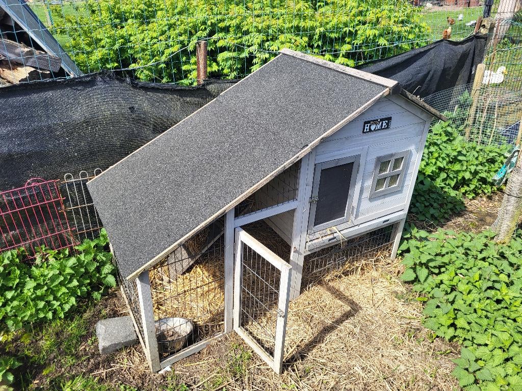 Buitenhok konijn, Dieren en Toebehoren, Ophalen, Gebruikt, Hok, Konijn