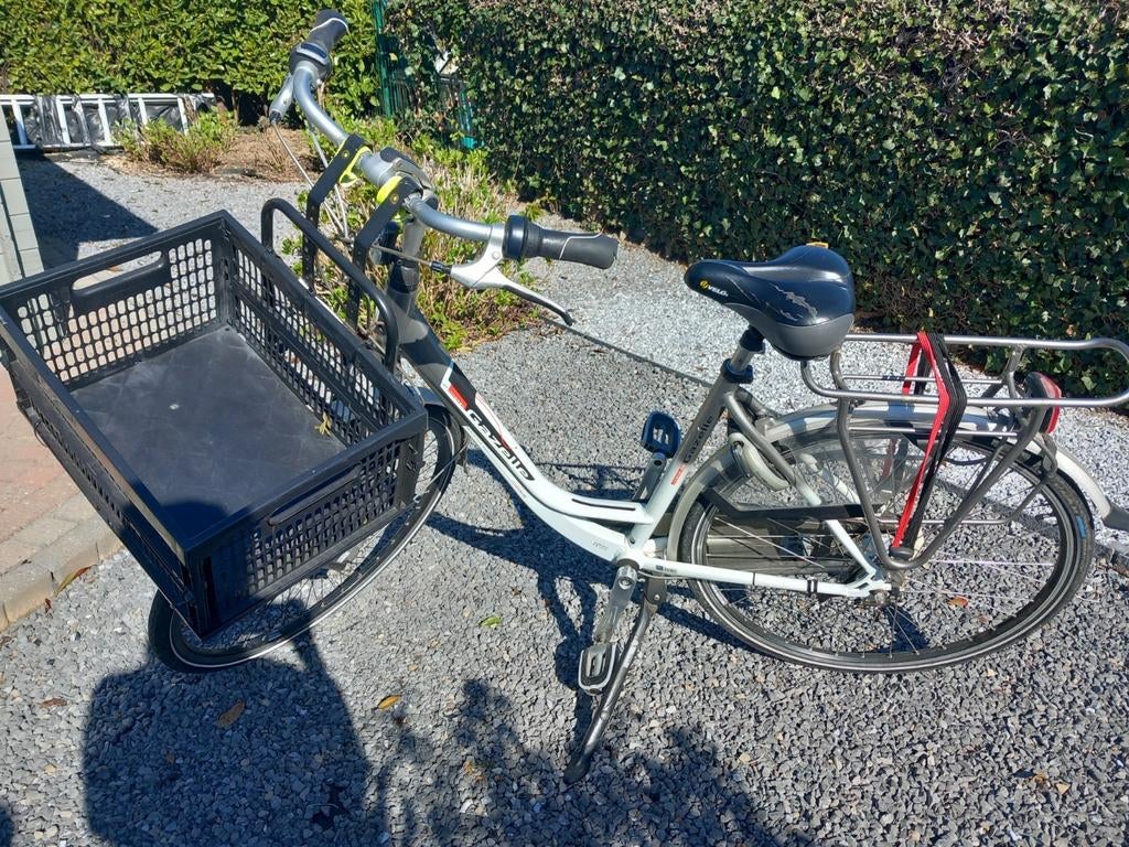 Bakfiets, Fietsen en Brommers, Fietsen | Bakfietsen, Ophalen, Gazelle